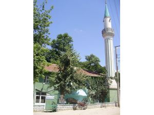 Söğütalan Köyünde Sadece İki Kez Ezan Okunuyor