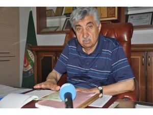 Buğday Tarlaları Fare İstilasına Uğradı