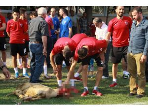 Spor Toto 2. Lig