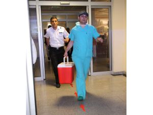 Rizede Boğulan Gencin Organları Bağışlandı