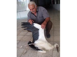 Leylek Köyü Elektriksiz Bıraktı