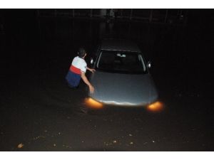 Zonguldak Ve Edirne Sele Teslim