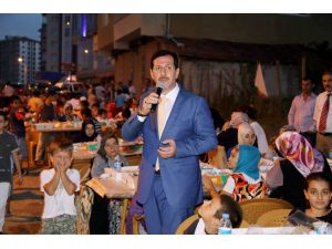 Başkan Tok, Bonzaiye Savaş Açtı