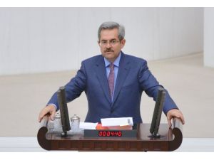 Bonzai Meclis Gündeminde