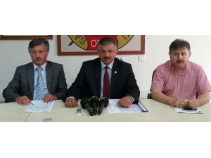 Türkiye Fındık Rekoltesi 371 Bin Ton