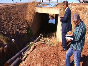 Zararlı Haşerelerle Mücadelede Biyosidal Ürün Uyarısı