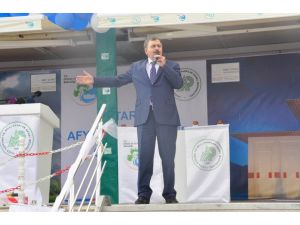 Başbakan Yardımcısı Prof. Dr. Emrullah İşler: