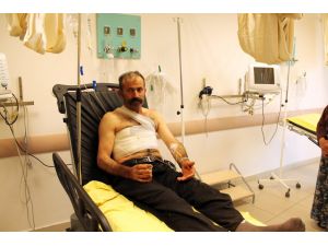 Hayvanlarını Otlatırken Ayının Saldırısına Uğradı