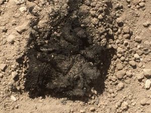 Laodikya Antik Kenti’nde Bin 500 Yıllık Kumaş