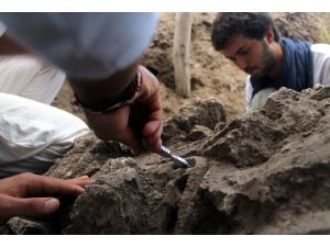 Soli Pompeipolis Antik Kentte Kazı Çalışmaları Devam Ediyor