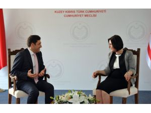 Beşiktaş Belediyesi’nin Kktc Temasları