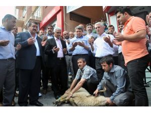 Gümüşhane’de Başbakan Erdoğan İçin Kurban Kesildi