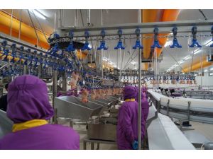 (Özel Haber) - Işid, Türk Tavuğunu Vurdu