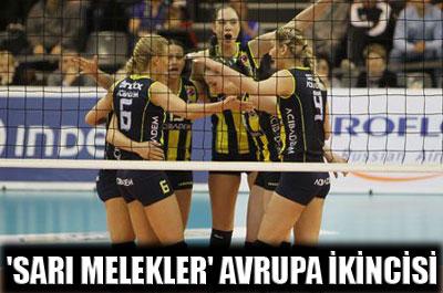 Sarı Melekler Avrupa ikincisi 