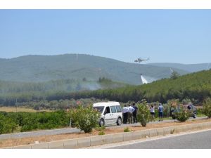 Selçukta Orman Yangını