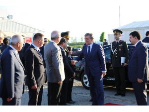 Gül, Konteyner Kentte
