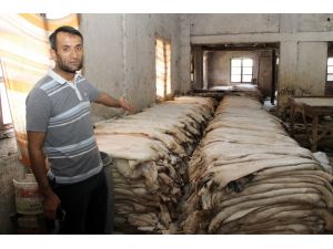 Denizli’de Tabakhanedeki İş Yerleri Mühürlendi