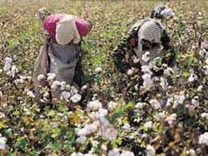 Topçuoğlu: ‘Aşırı bir sıkıntı yok’