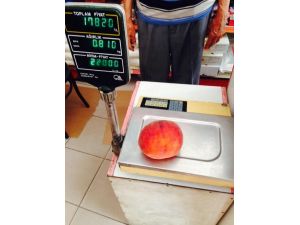 Bu Şeftali Bir Kiloya Yakın