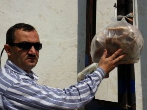 Pide Ve Ekmekleri Çöpe Atmayın Bu Tavsiyelere Kulak Verin