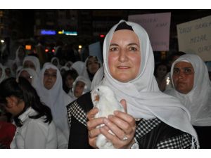 Gazze İçin Gökyüzüne Barış Güvercini Bıraktılar