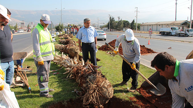 Refüjler Palmiyerlerle Buluşuyor