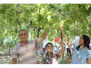 Serada Üzüm Yetiştirdi