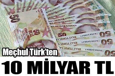 Meçhul milyarder 