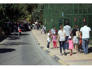 Hayvanat Bahçesi Ziyaretçi Akınına Uğradı