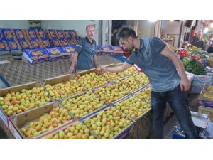 Malatya’da Kayısı Pahalandı, Bayramda Hediye Paketleri Azaldı