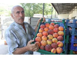 Şeftali İle Armut Altın Yılını Yaşıyor