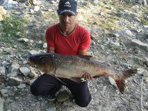 Meriç Nehri’nden Çıktı