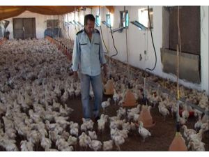 Savaştan Kaçan Suriyeli Faruk El Halef’in Elazığ’daki Yaşam Mücadelesi