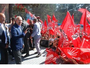 Sandığa Gidin Dedi