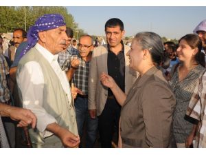 Kışanak, Demirtaş’a Destek İstedi