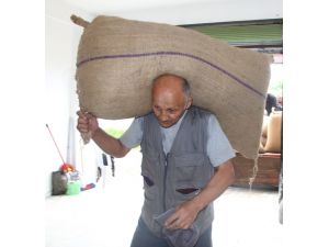 Fındıkta Rekolteden Sonra Fiyatlar Da Tartışma Konusu Oldu