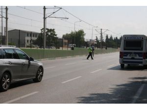 Trafiği Durdurup Yolda Mahsur Kalan Kediyi Kurtardı