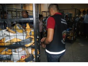 Gümrük Ve Ticaret Bakanı Hayati Yazıcı:
