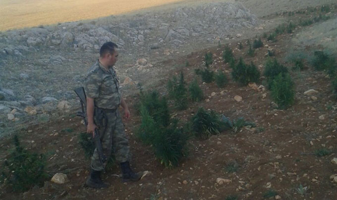 Elbistanda Uyuşturucu Operasyonu