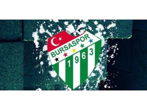 Timsah Artık Potada Da Var