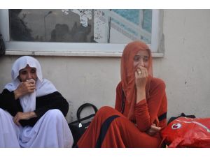 Yezidiler Konutlara Yerleşiyor