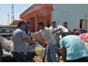 Yezidiler Konutlara Yerleştiriliyor