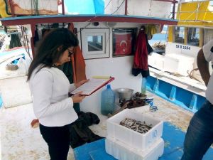 Ordu’da Balıkçılara Rekor Ceza