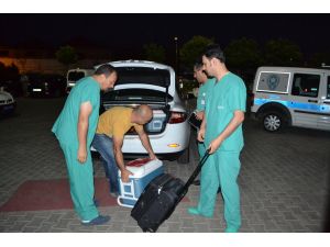 Organları 4 Kişiye Umut Oldu