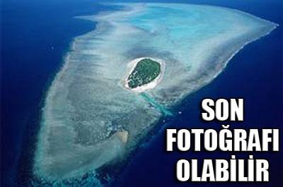 Son fotoğrafı olabilir 