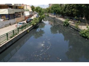 Kadıköy’de Denize Girmeyin