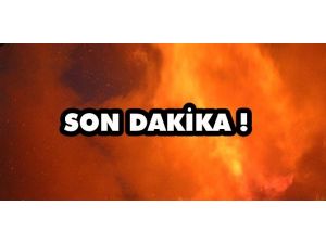 Abd Işid Mevzilerini Vurdu