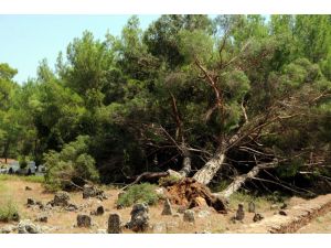 Antalya’da Hortum