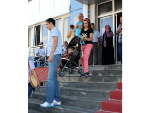 Engelli Ve Yaşlıların Demokrasi Mücadelesi