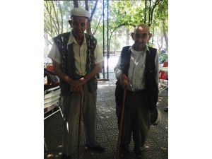 Yaşlılar Bastonlarıyla Sandığa Koştu